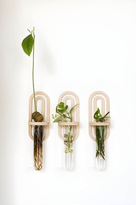 3 Etagères murales avec porte plante